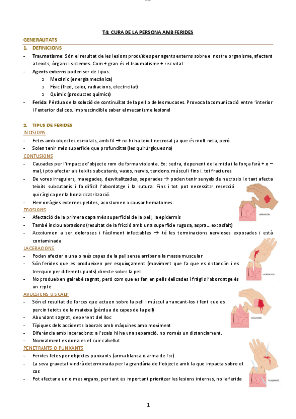 Miniatura del documento T4-ferides.pdf