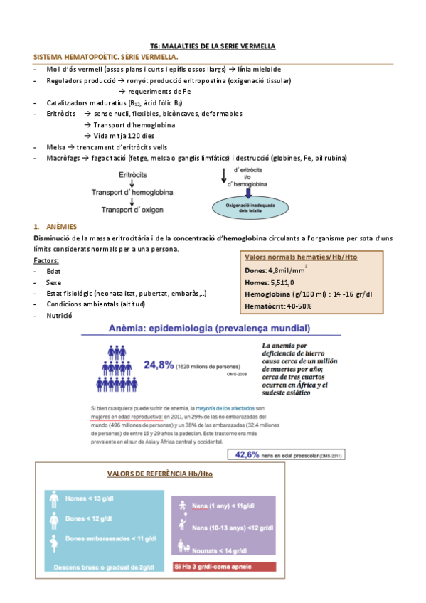 Miniatura del documento Serie-Vermella.pdf