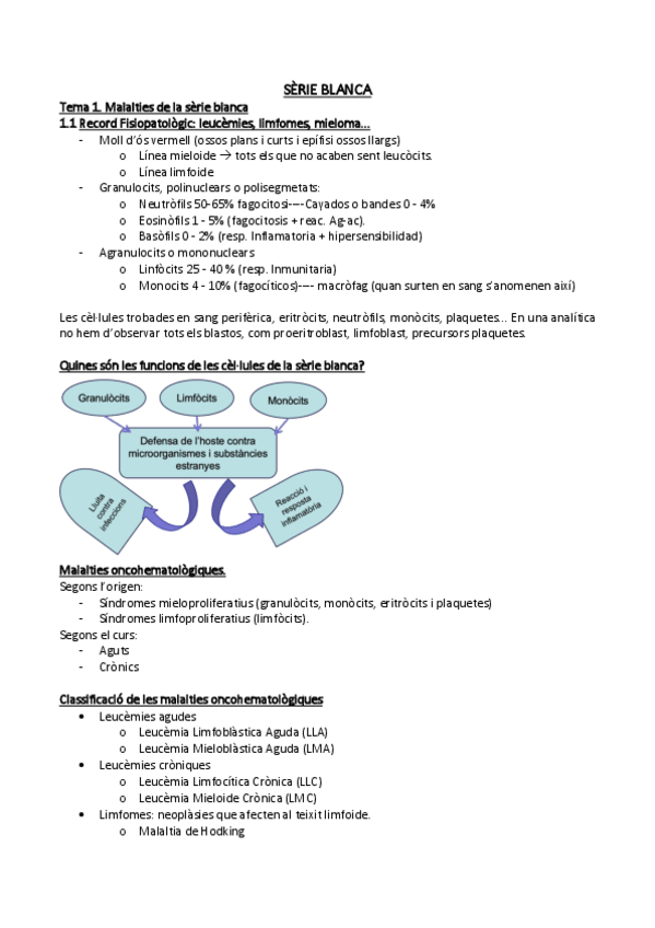 Miniatura del documento T7-SERIE-BLANCA.pdf