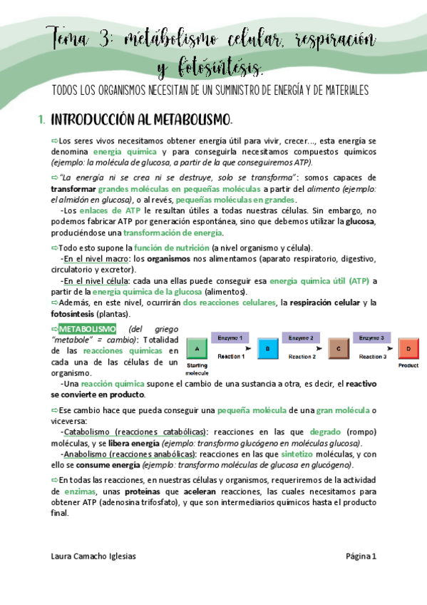 Miniatura del documento Tema3metabolismopdfdefinitivo.pdf