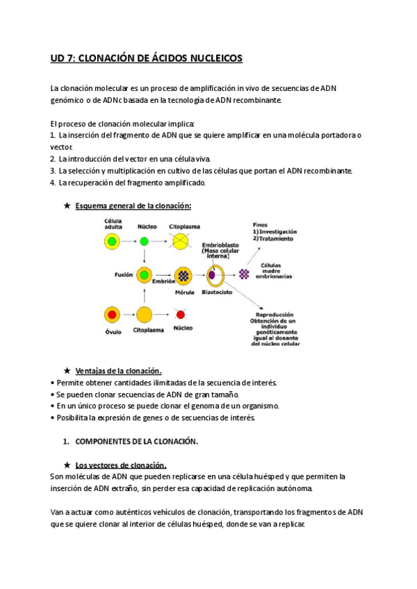 Miniatura del documento UD-7-CLONACION-DE-ACIDOS-NUCLEICOS.pdf