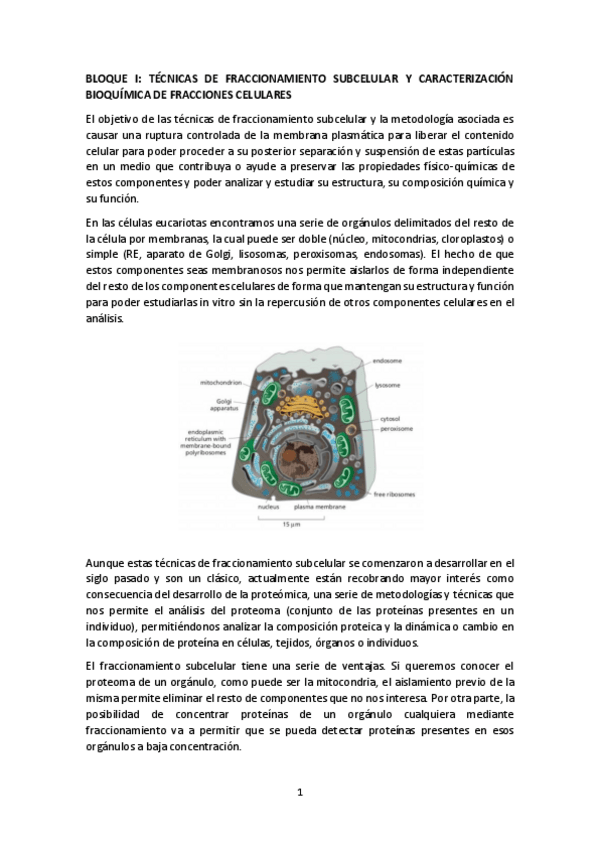 Miniatura del documento BLOQUE-I.pdf