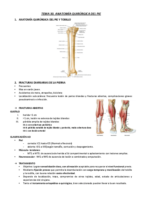 Miniatura del documento T30.pdf