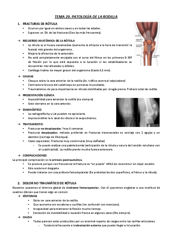 Miniatura del documento T29.pdf
