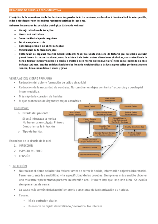 Miniatura del documento NURIA-Y-MAS.pdf