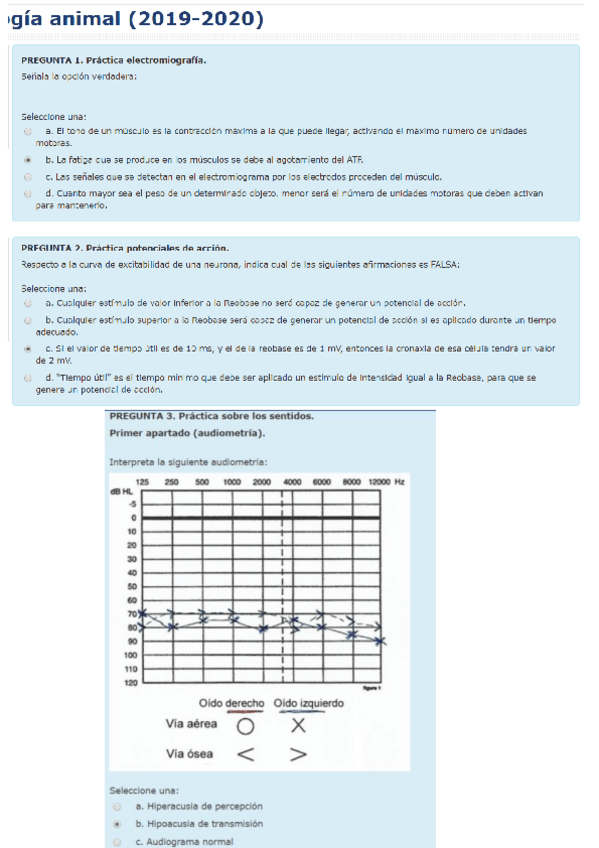 Miniatura del documento examen-practico-fisio.pdf