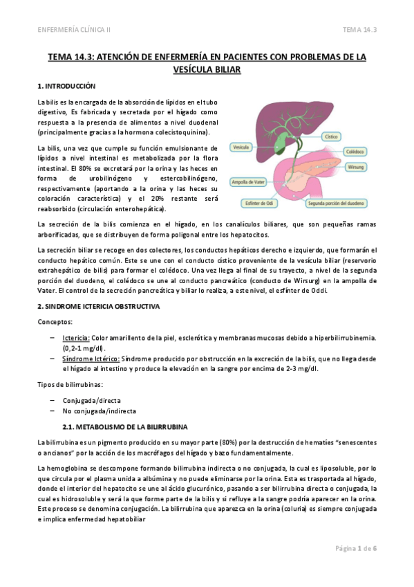 Miniatura del documento TEMA-14-3-ATENCION-DE-ENFERMERIA-EN-PACIENTES-CON-PROBLEMAS-DE-LA-VESICULA-BILIAR.pdf