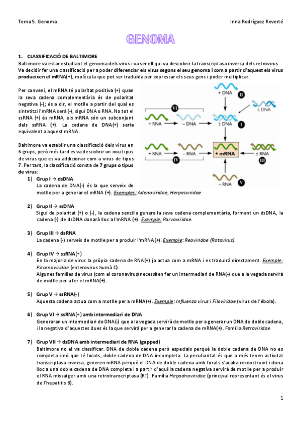 Miniatura del documento Tema-5-VIR.pdf