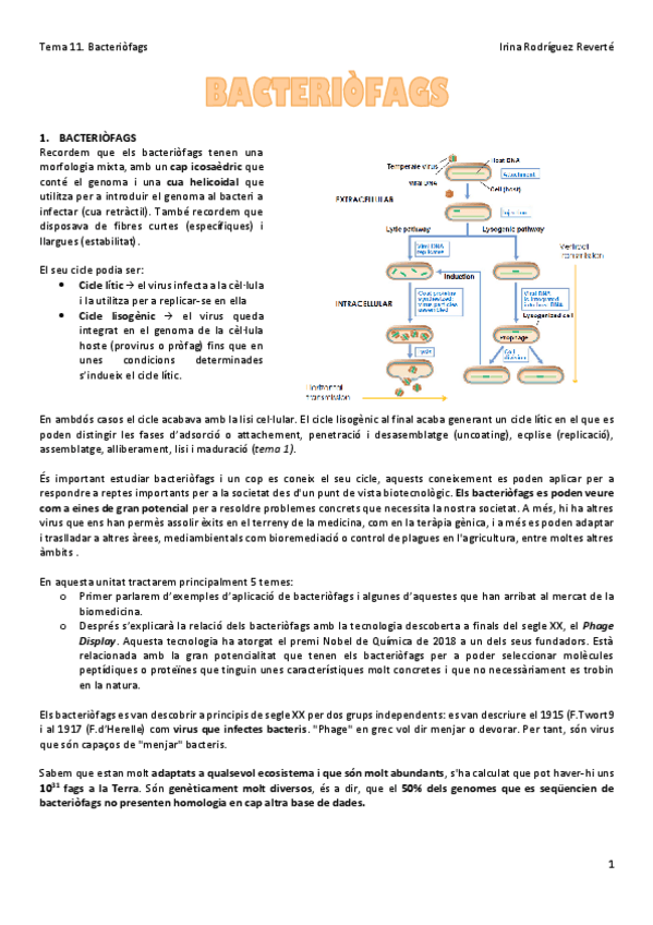 Miniatura del documento Tema-11-VIR.pdf