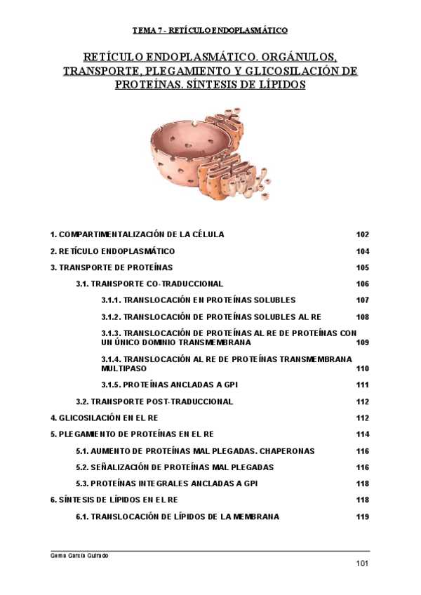 Miniatura del documento TEMA-7-RETICULO-ENDOPLASMATICO-BIOLOGIA-CELULAR.pdf