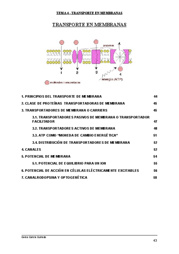 Miniatura del documento TEMA-4-TRANSPORTE-EN-MEMBRANAS-BIOLOGIA-CELULAR.pdf