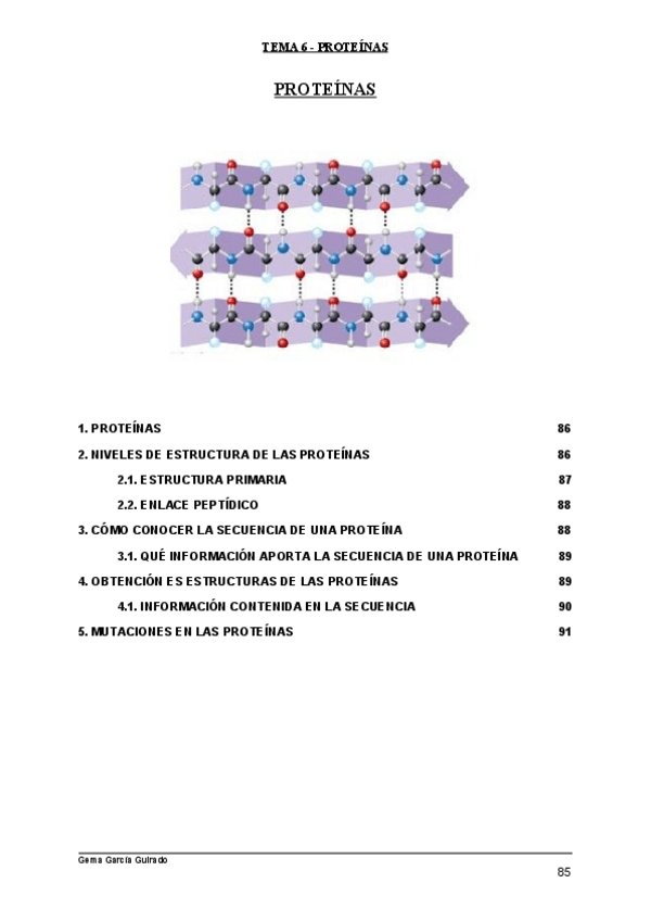 Miniatura del documento TEMA-6-PROTEINAS-BIOQUIMICA.pdf