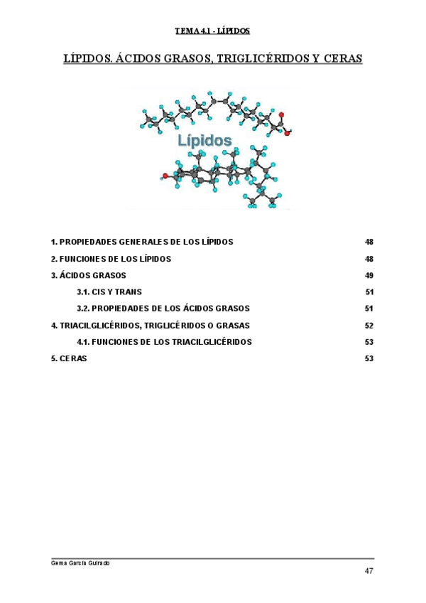Miniatura del documento TEMA-4.pdf