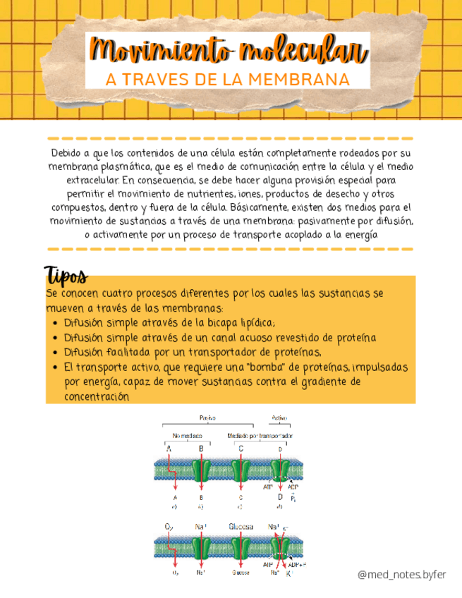 Miniatura del documento Movimiento-Molecular-a-traves-de-la-membrana.pdf