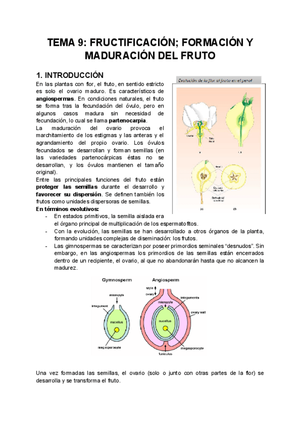 Miniatura del documento TEMA-9-FRUCTIFICACION-FORMACION-Y-MADURACION-DEL-FRUTO.pdf