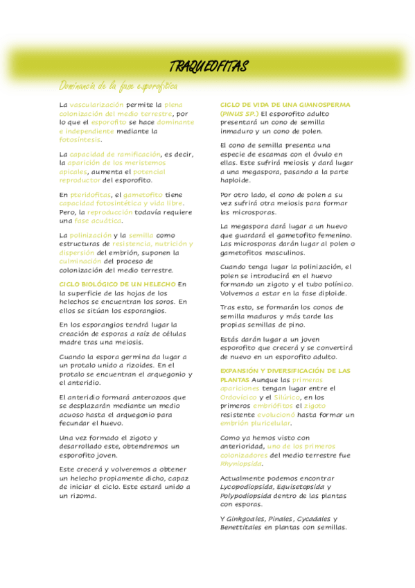 Miniatura del documento Tema-22.pdf