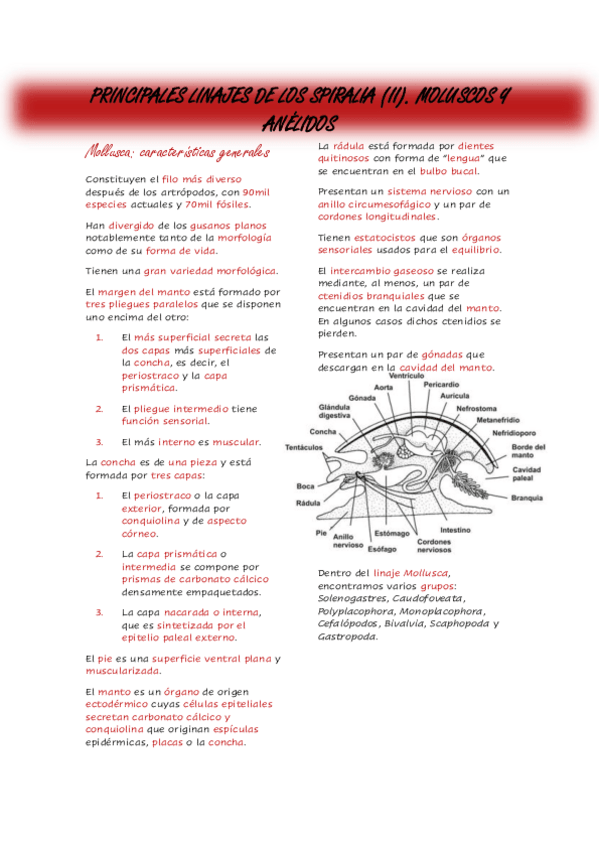 Miniatura del documento Tema-5.pdf