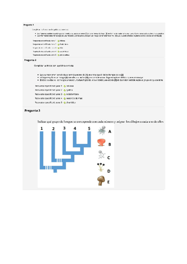 Miniatura del documento tema-13.pdf