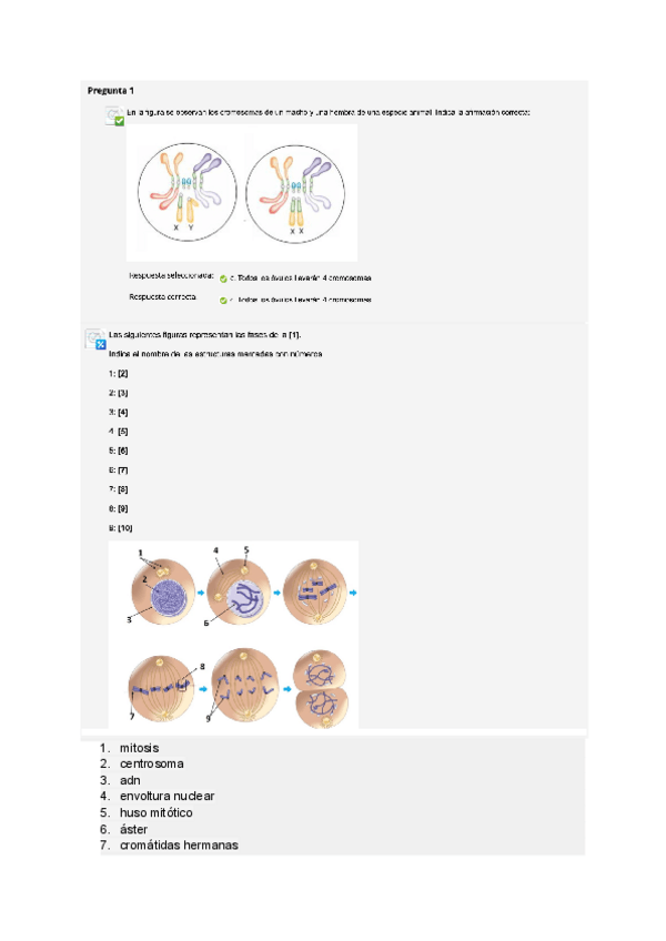 Miniatura del documento seminario-2.pdf