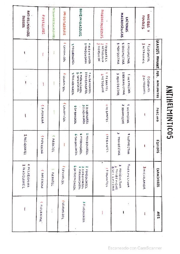 Miniatura del documento CamScanner-05-11-2021-15.pdf