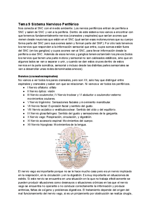 Miniatura del documento Tema-9-SNP.pdf