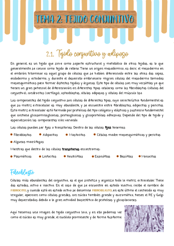 Miniatura del documento TEMA-2.pdf