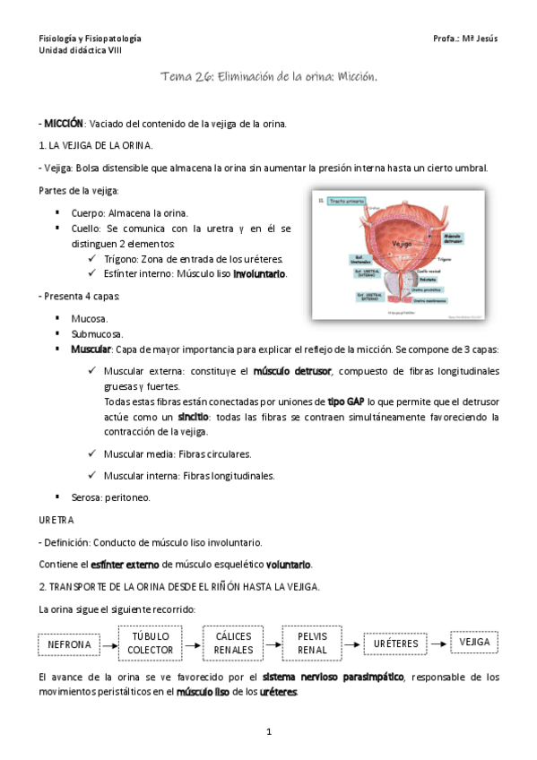 Miniatura del documento Tema-26.pdf