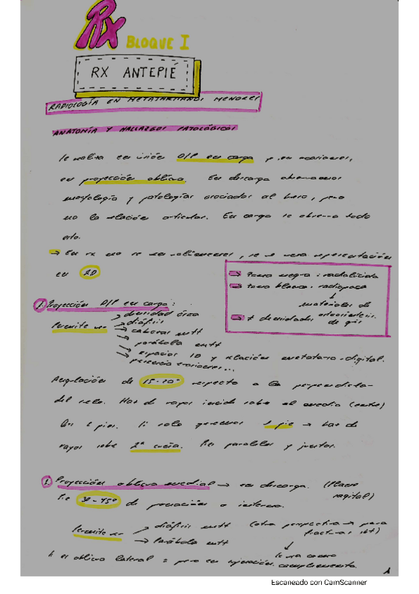 Miniatura del documento Rx-antepie.pdf