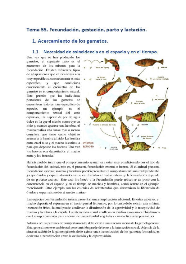 Miniatura del documento Tema-55.pdf