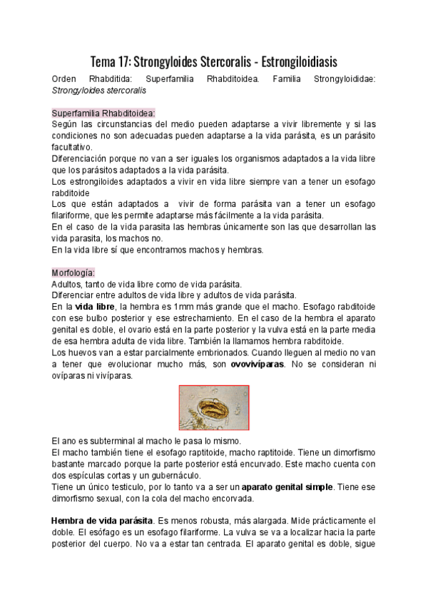 Miniatura del documento Tema-17.pdf