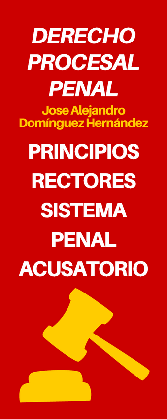 Miniatura del documento Principios-Penales-3.pdf