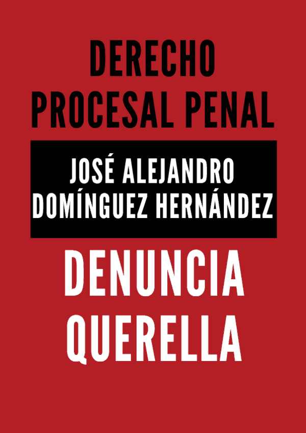 Miniatura del documento Denuncia-Querella-1.pdf