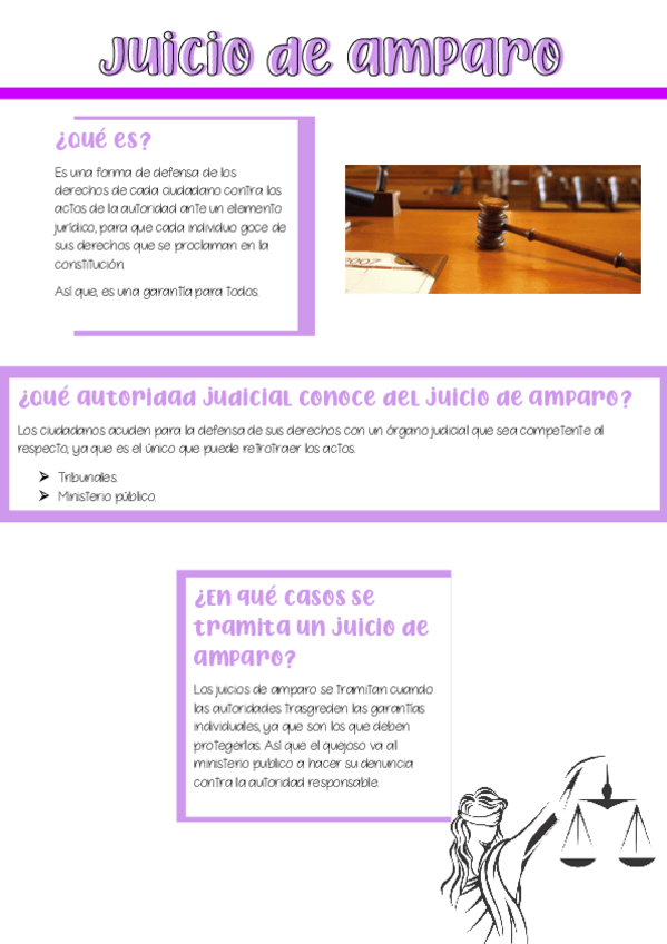 Miniatura del documento Juicio-de-amparo-Amanda-.pdf