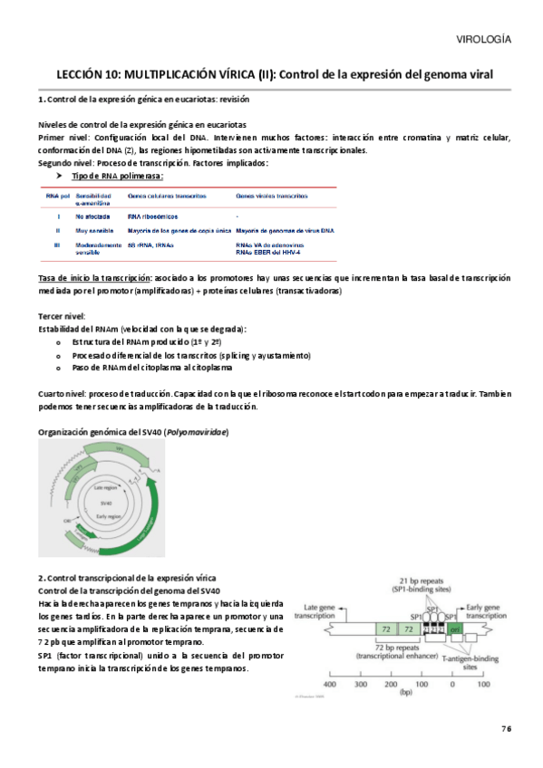 Miniatura del documento TEMA 10.pdf