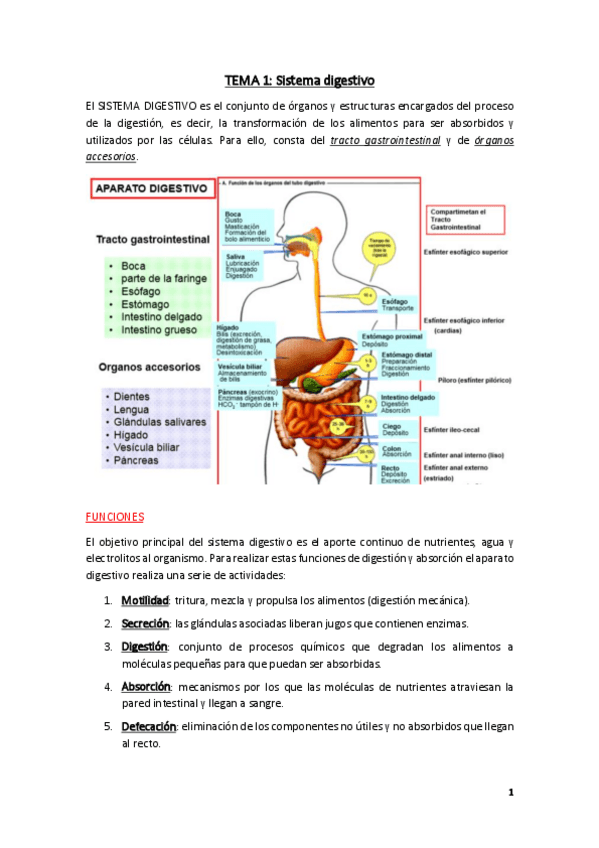 Miniatura del documento Fisiologia-Tema-1.pdf