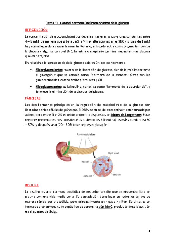 Miniatura del documento Fisiologia-Tema-11.pdf