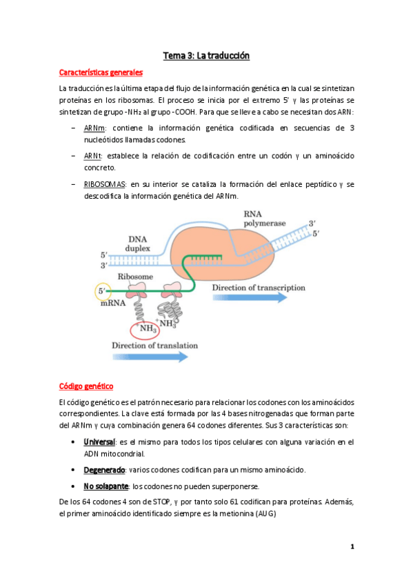 Miniatura del documento Tema-3.pdf