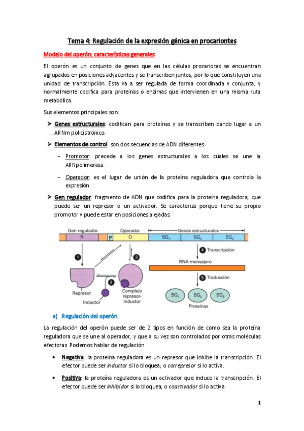 Miniatura del documento Tema-4.pdf