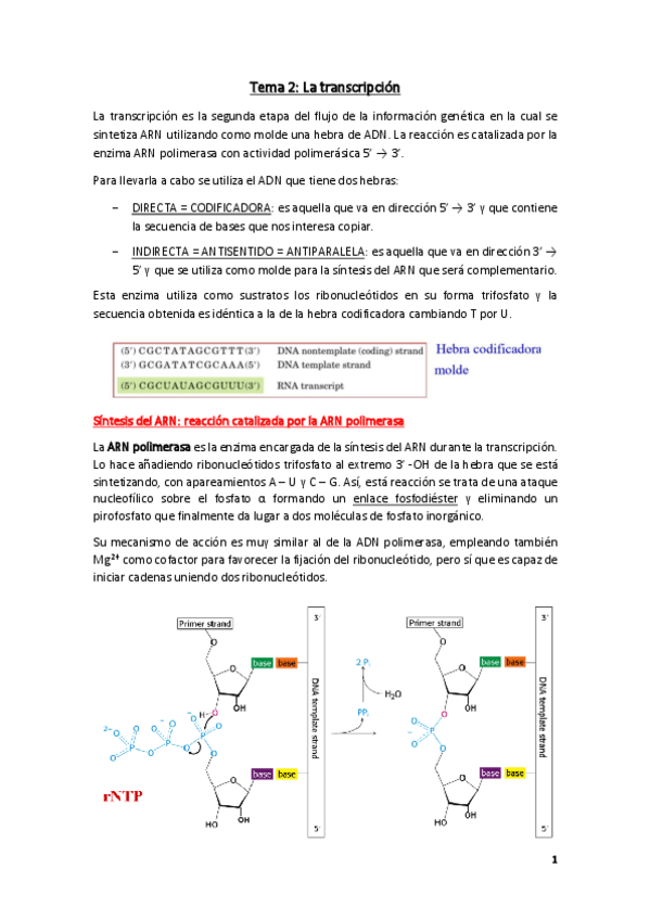Miniatura del documento Tema-2.pdf