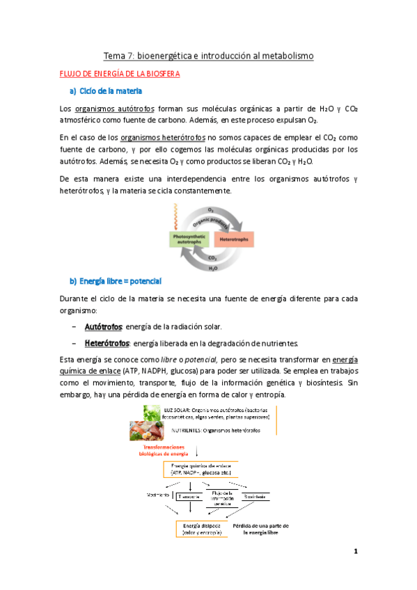 Miniatura del documento Tema-7.pdf