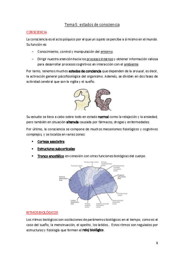 Miniatura del documento Tema-5.pdf