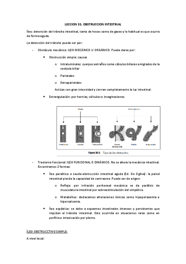 Miniatura del documento leccion-31-obstruccion-intestinal.pdf
