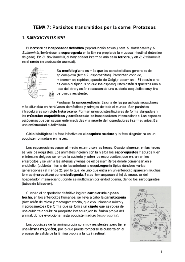 Miniatura del documento Tema-7-PA.pdf