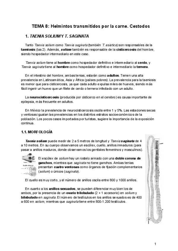 Miniatura del documento Tema-8.1.pdf