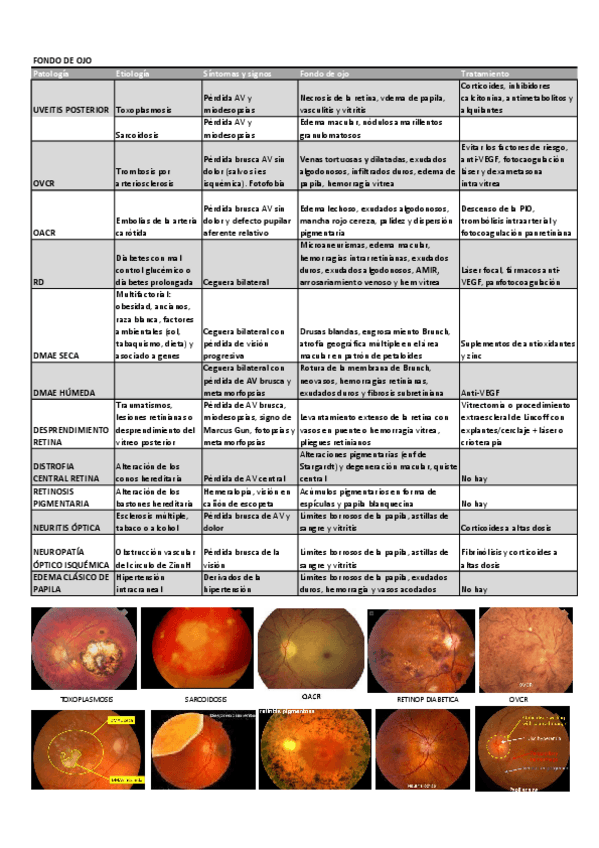 Miniatura del documento FONDO-DE-OJO.pdf