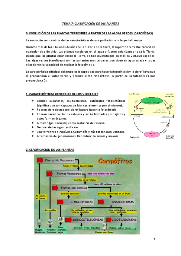 Miniatura del documento TEMA-7.pdf