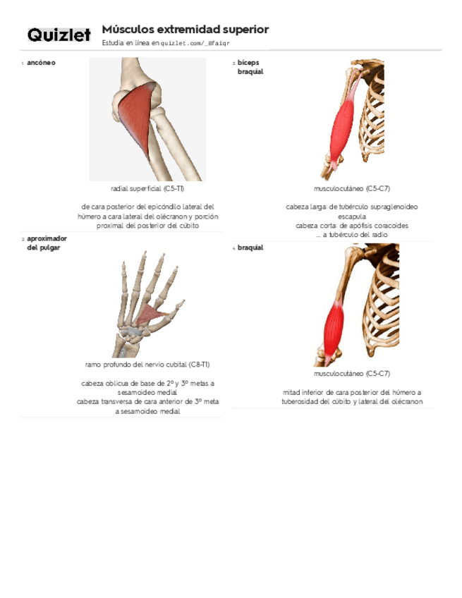 Miniatura del documento superior.pdf