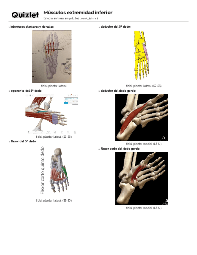 Miniatura del documento inferior.pdf