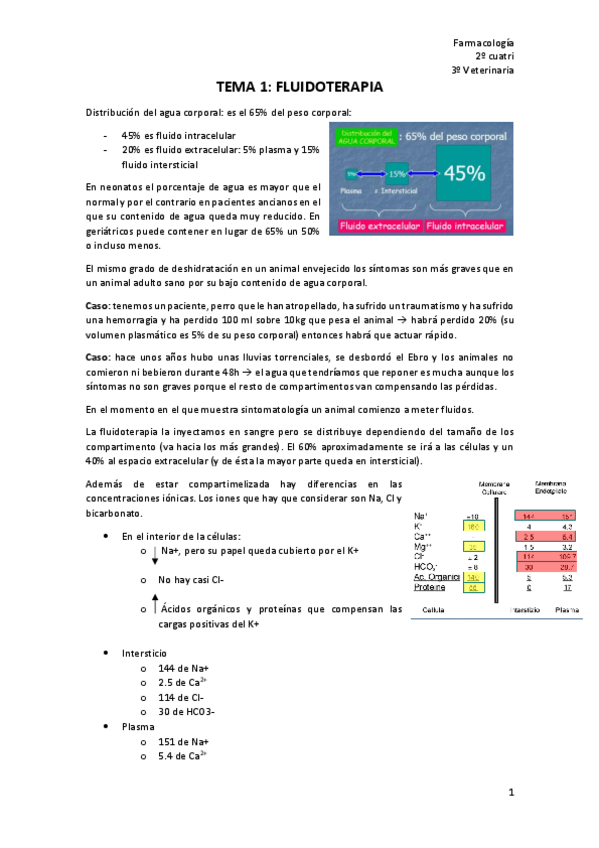 Miniatura del documento farma-2o-cuatri.pdf