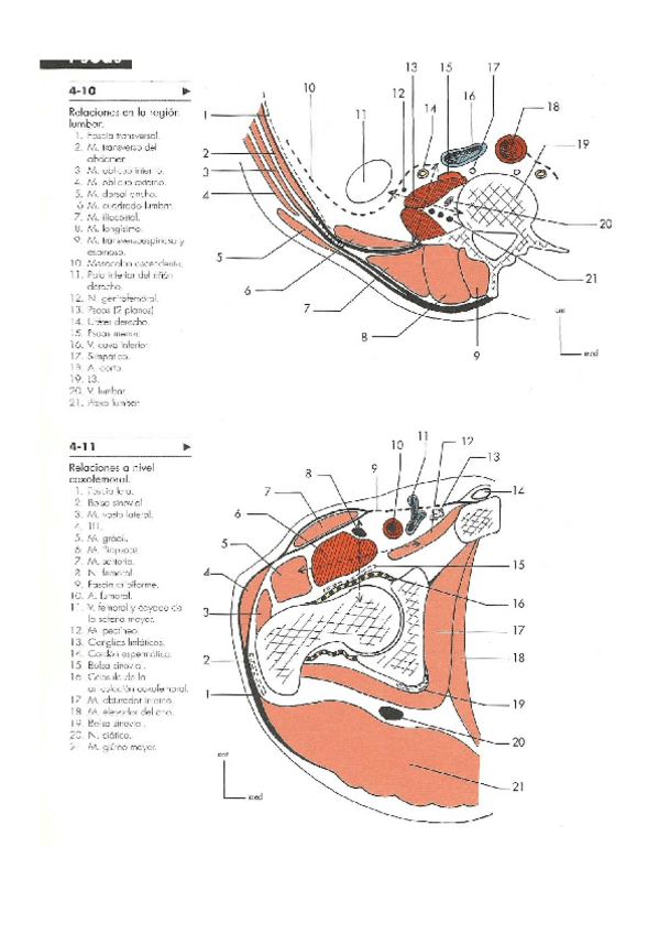 Miniatura del documento Cortes-Dufour-M.pdf